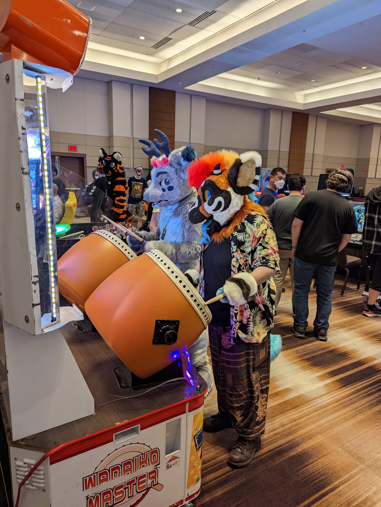 Video Gaming Room Furry Weekend Atlanta
